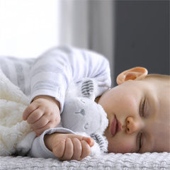 Silvercloud Counting Sheep Comforter - lifestyle image